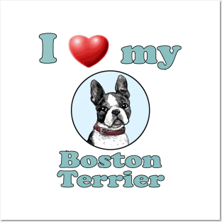 I Love My Boston Terrier Posters and Art